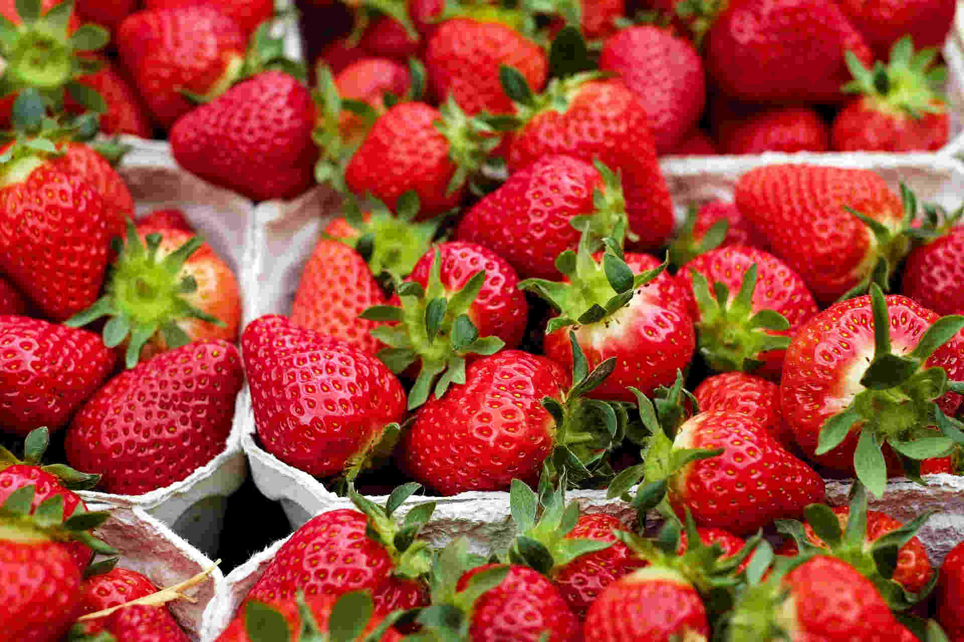 barquette de fraise