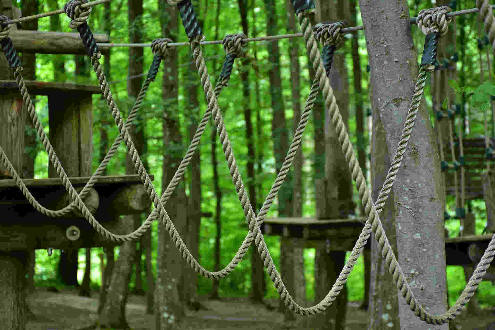 Illustration parc accrobranche